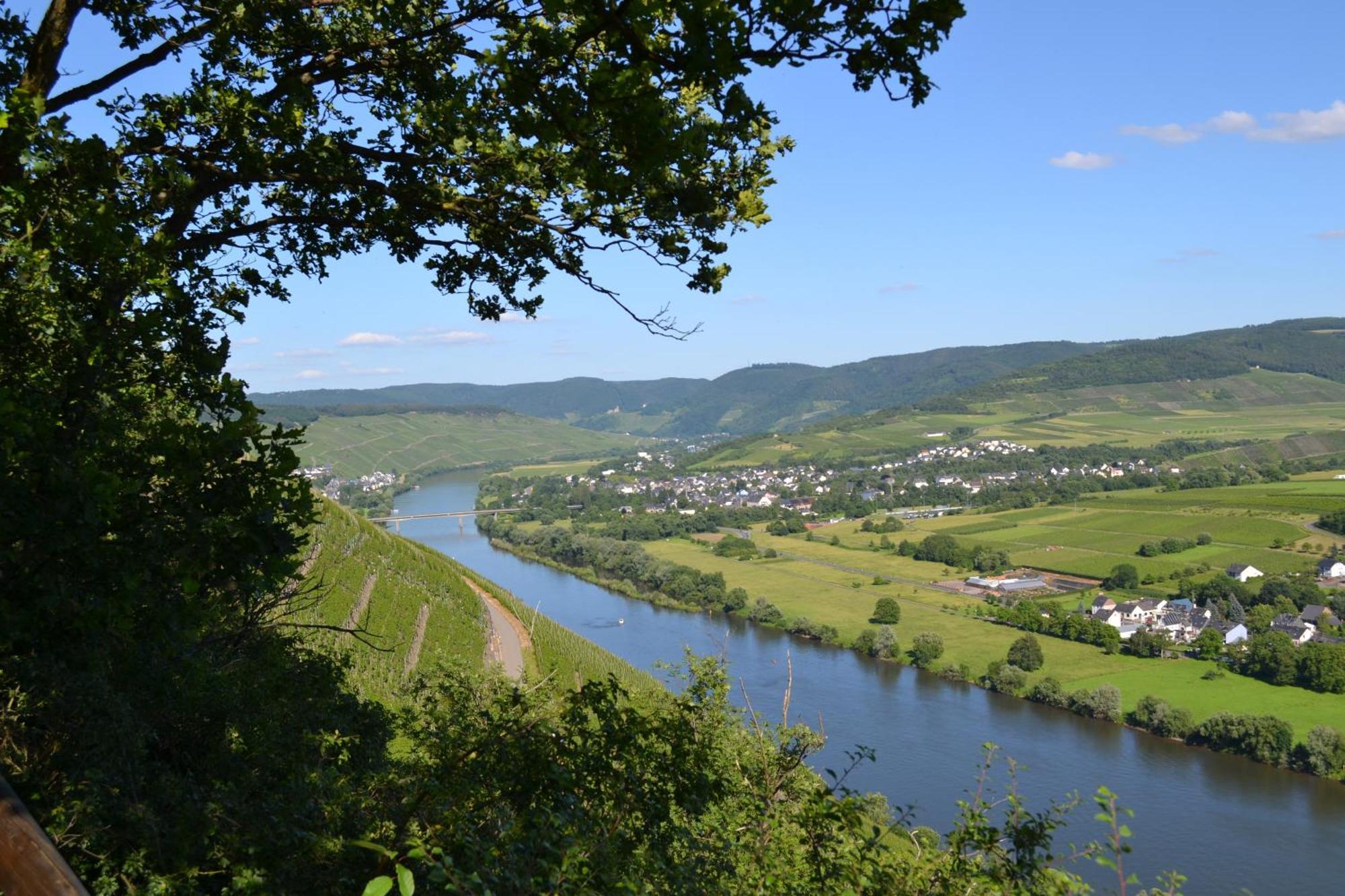 Weingut Mathy-Schanz Osann-Monzel Exteriér fotografie