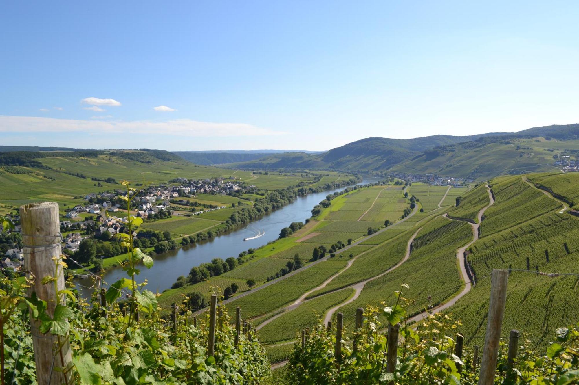 Weingut Mathy-Schanz Osann-Monzel Exteriér fotografie