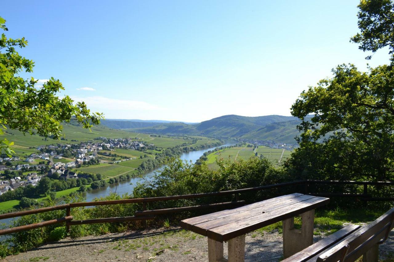 Weingut Mathy-Schanz Osann-Monzel Exteriér fotografie